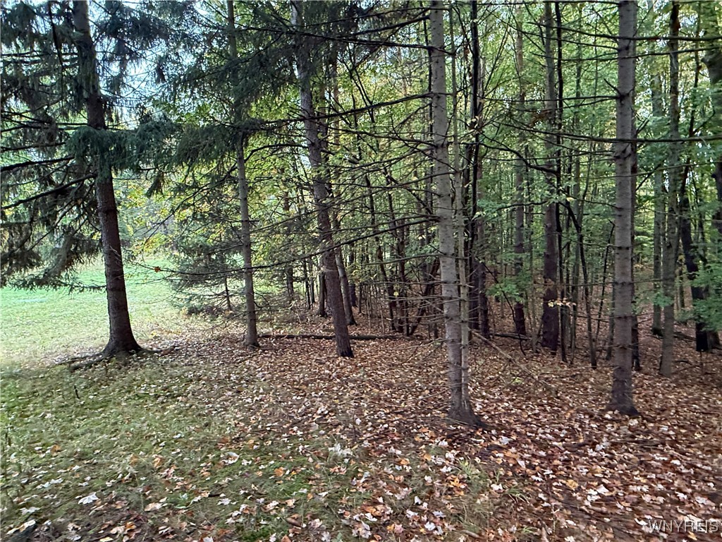 10987 Snyder Road Springville, NY 14141 - Photo 30 of 44