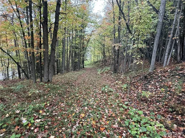 $87,500 | 10987 Snyder Road, Springville, NY 14141