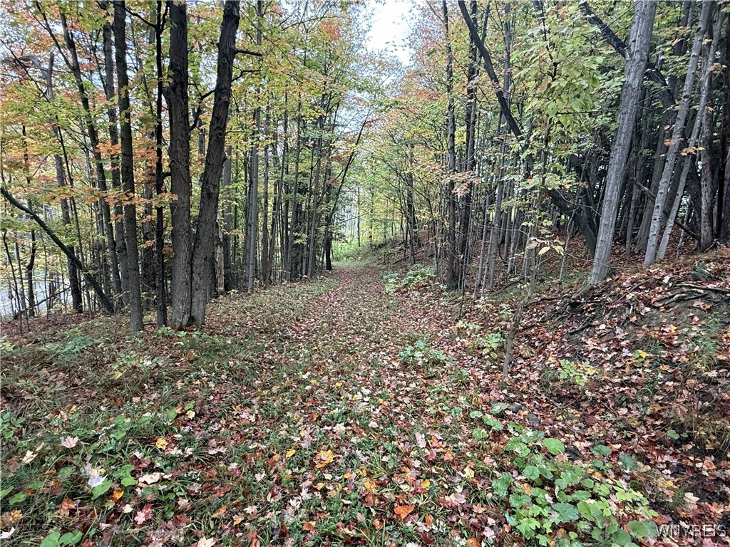 10987 Snyder Road Springville, NY 14141 - Photo 3 of 44