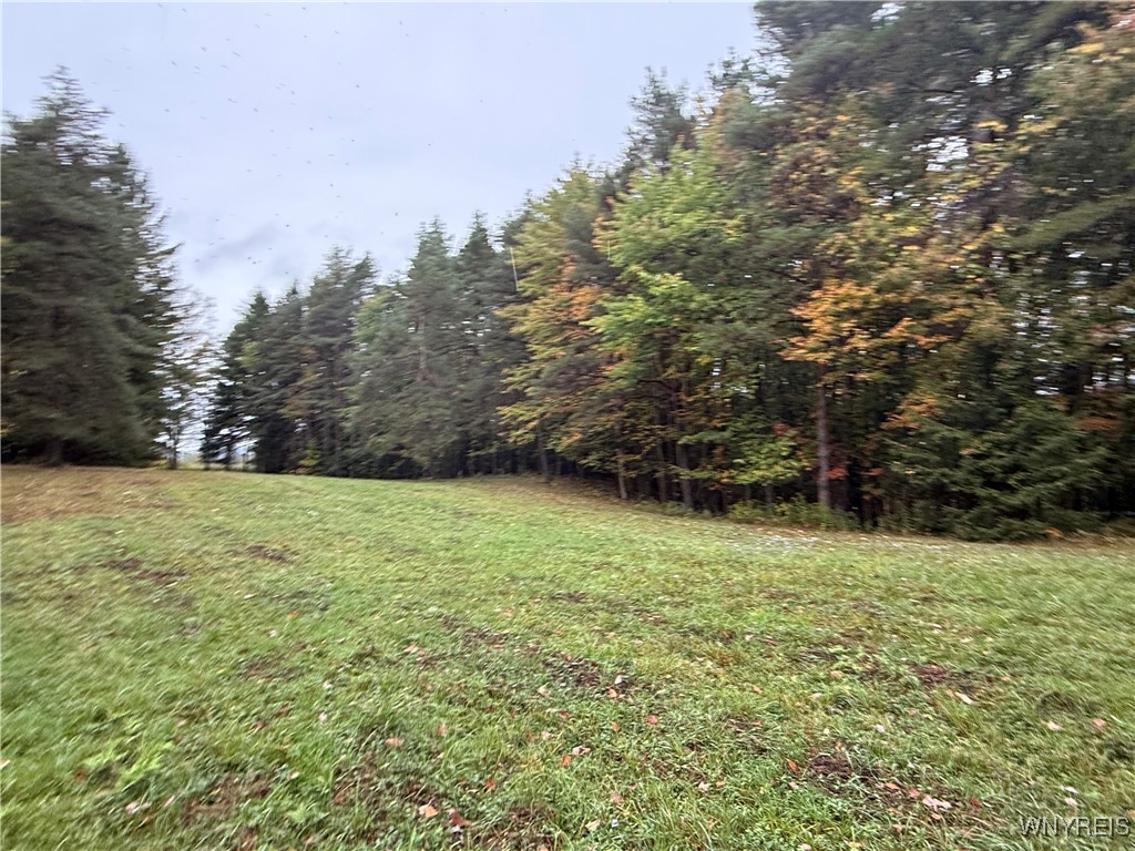 10987 Snyder Road Springville, NY 14141 - Photo 32 of 44