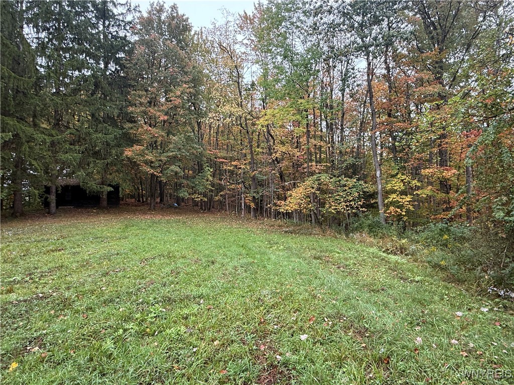 10987 Snyder Road Springville, NY 14141 - Photo 33 of 44