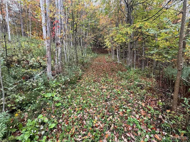 $87,500 | 10987 Snyder Road, Springville, NY 14141