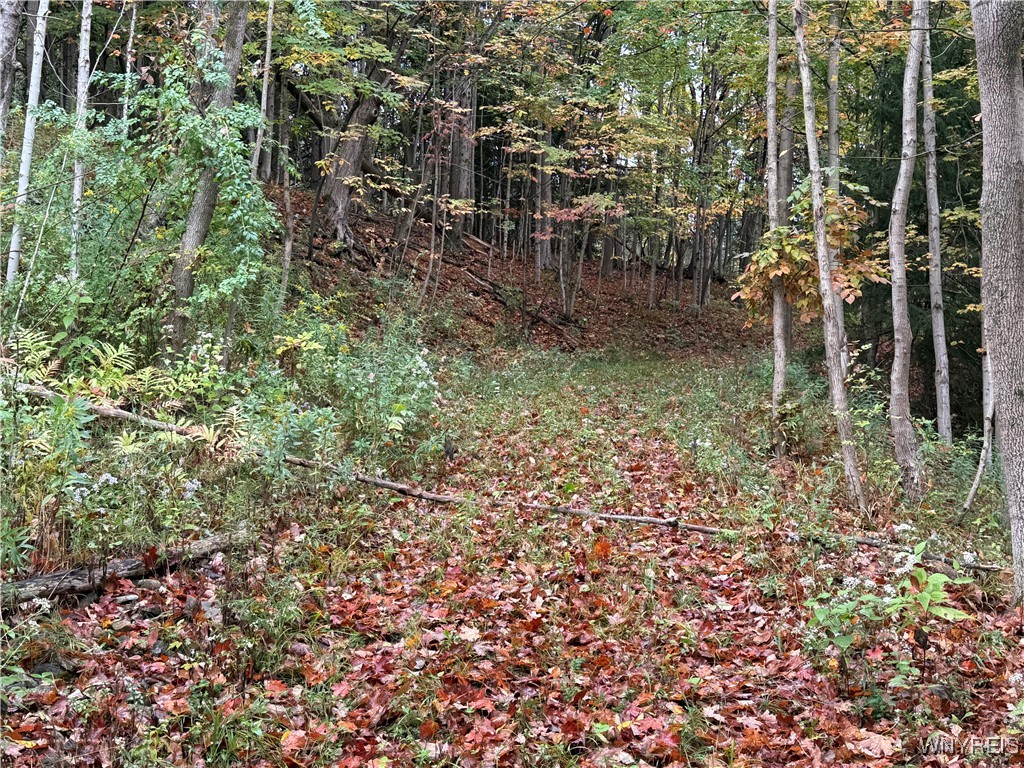 10987 Snyder Road Springville, NY 14141 - Photo 35 of 44