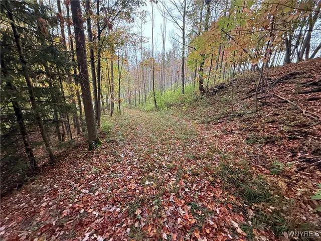 $87,500 | 10987 Snyder Road, Springville, NY 14141