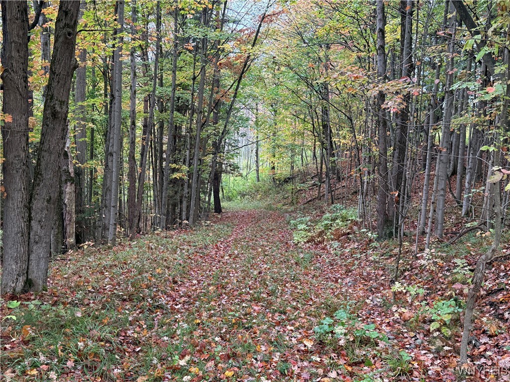 10987 Snyder Road Springville, NY 14141 - Photo 38 of 44