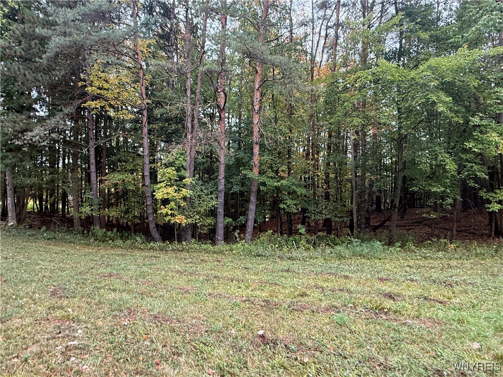 10987 Snyder Road Springville, NY 14141 - Photo 39 of 44