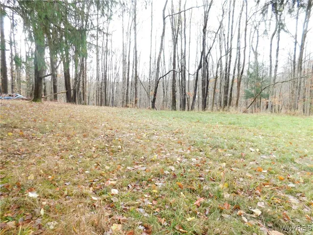 $87,500 | 10987 Snyder Road, Springville, NY 14141