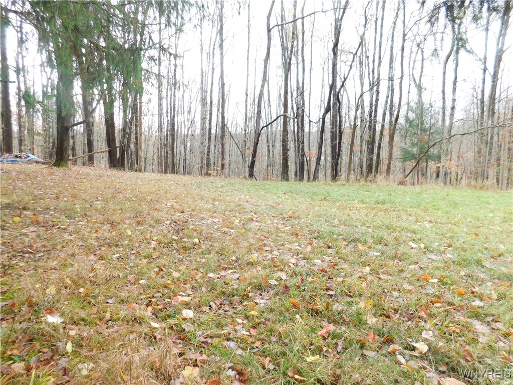 10987 Snyder Road Springville, NY 14141 - Photo 41 of 44