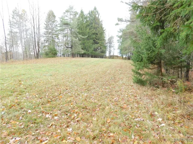 $87,500 | 10987 Snyder Road, Springville, NY 14141