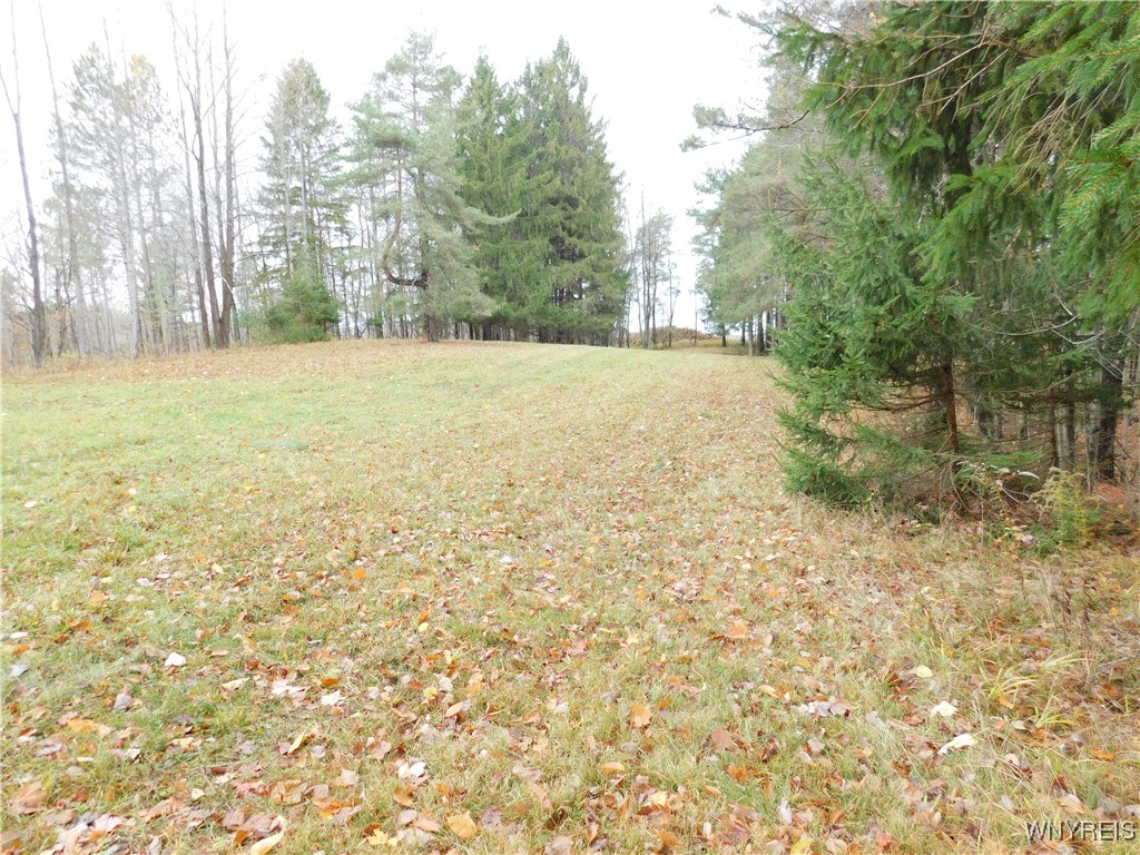 10987 Snyder Road Springville, NY 14141 - Photo 42 of 44