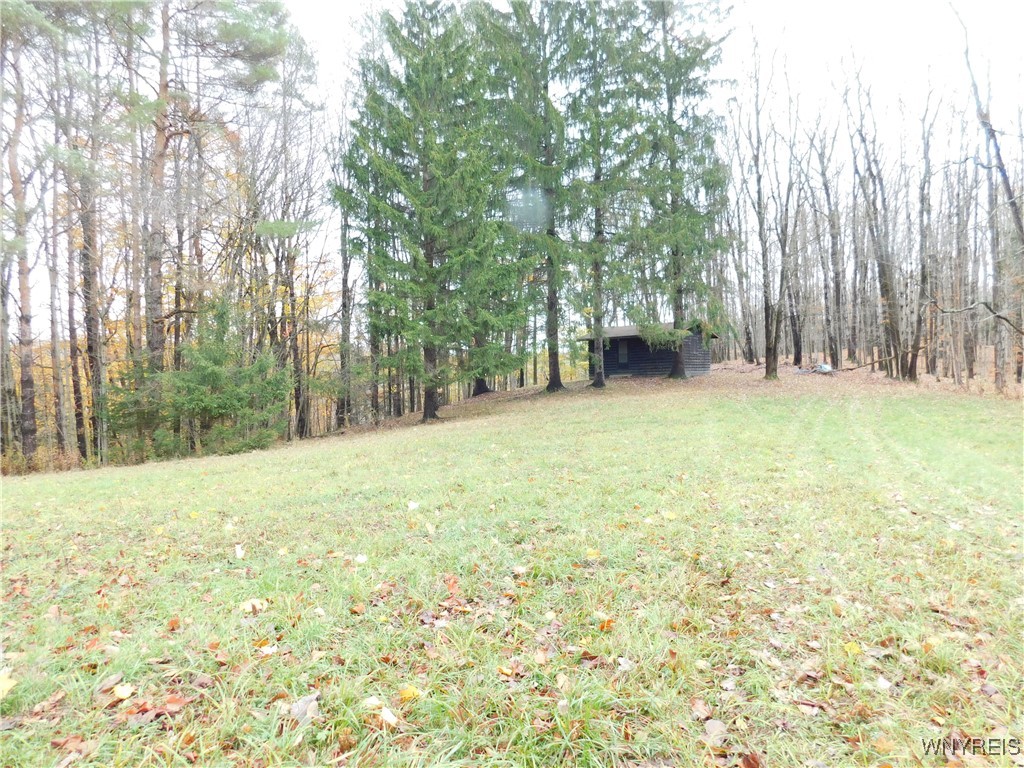 10987 Snyder Road Springville, NY 14141 - Photo 43 of 44