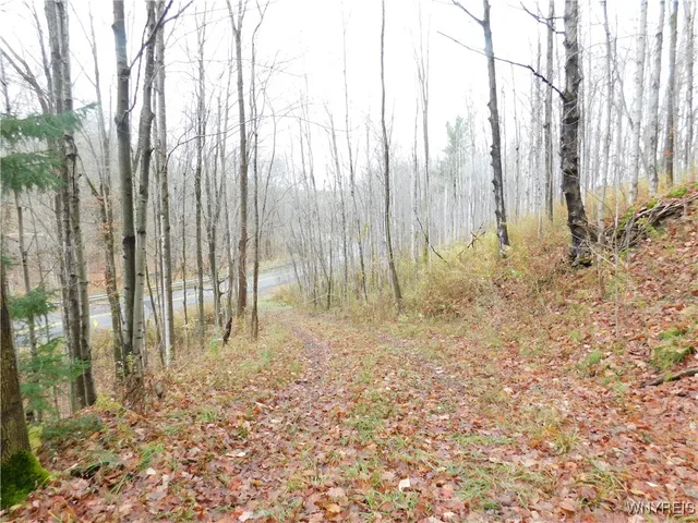 $87,500 | 10987 Snyder Road, Springville, NY 14141