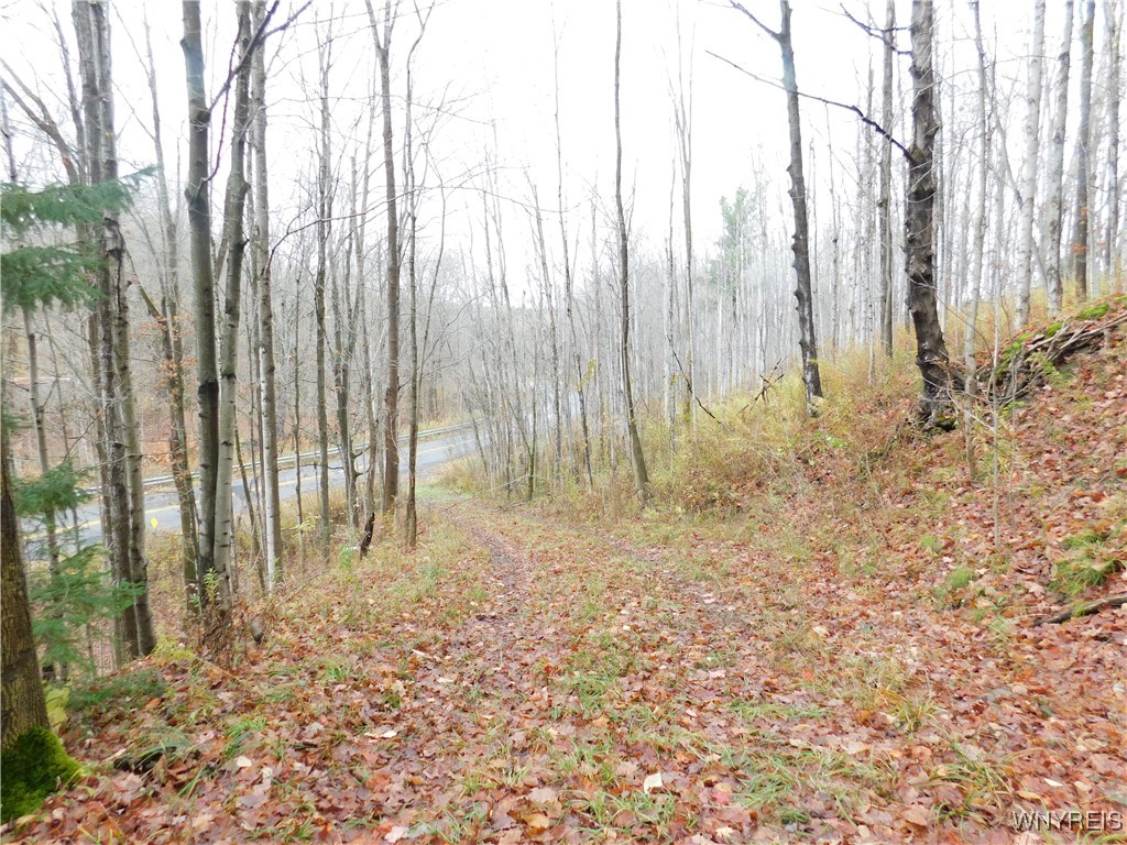 10987 Snyder Road Springville, NY 14141 - Photo 44 of 44