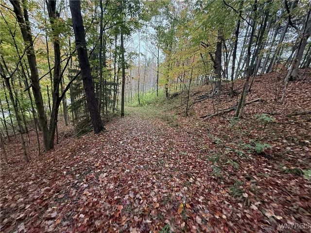 $87,500 | 10987 Snyder Road, Springville, NY 14141