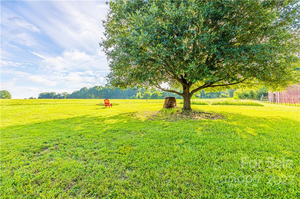 350 Lowrys Road McConnells, SC 29726 - Photo 6 of 38 Gallery Image 6