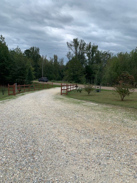 6650 Birdsong Road Holladay, TN 38341 - Photo 10 of 46 Gallery Image 10