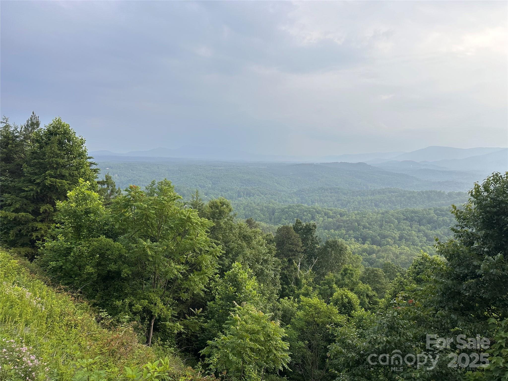 a view of a field of grass and trees