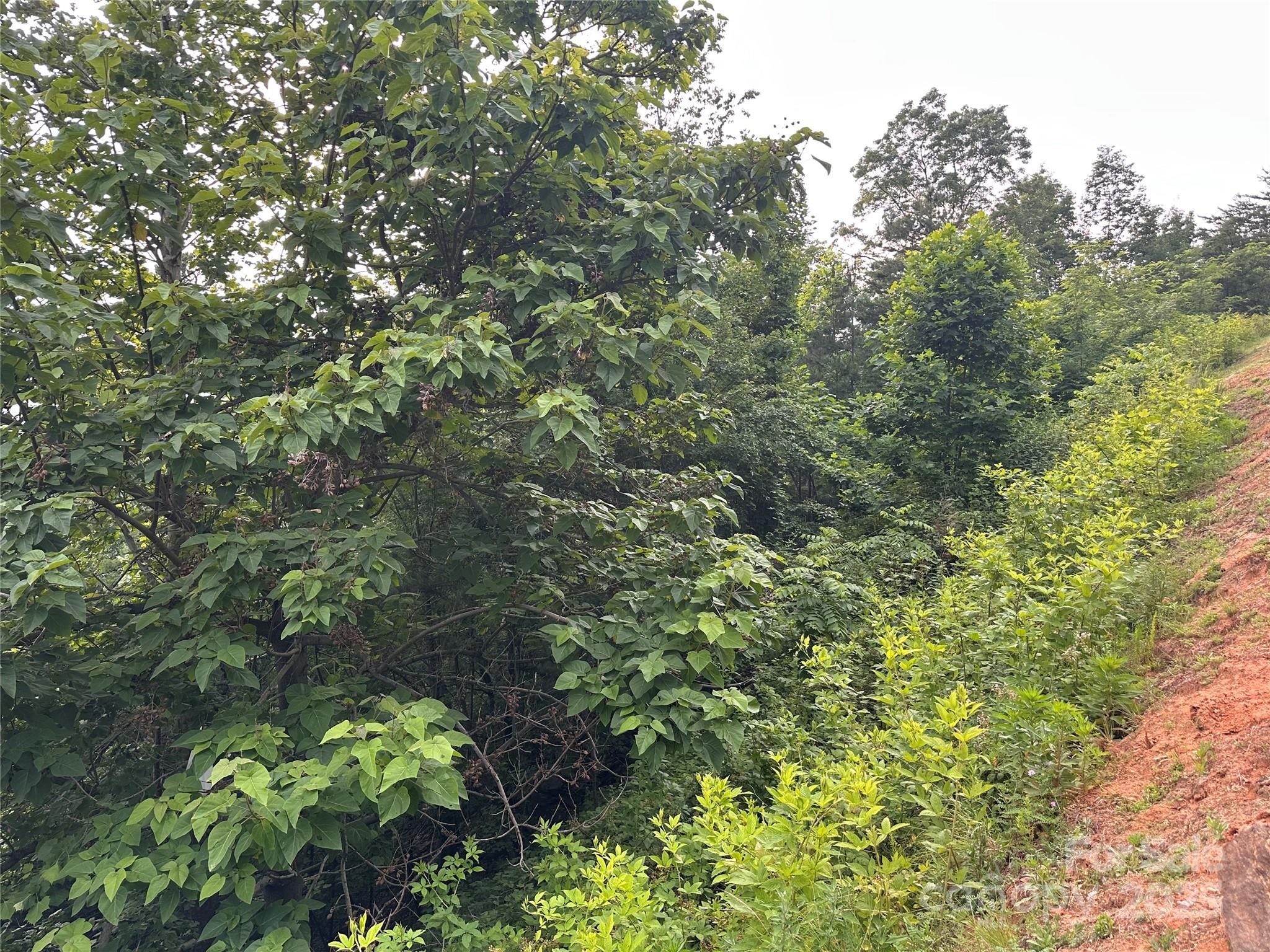 0 Golden Ridge Drive Lake Lure, NC 28746 - Photo 4 of 10 a aerial view of a house with a tree