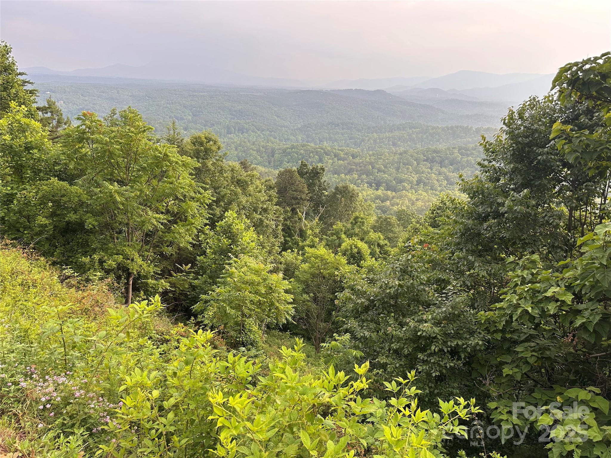0 Golden Ridge Drive Lake Lure, NC 28746 - Photo 5 of 10 a view of a field with an ocean view