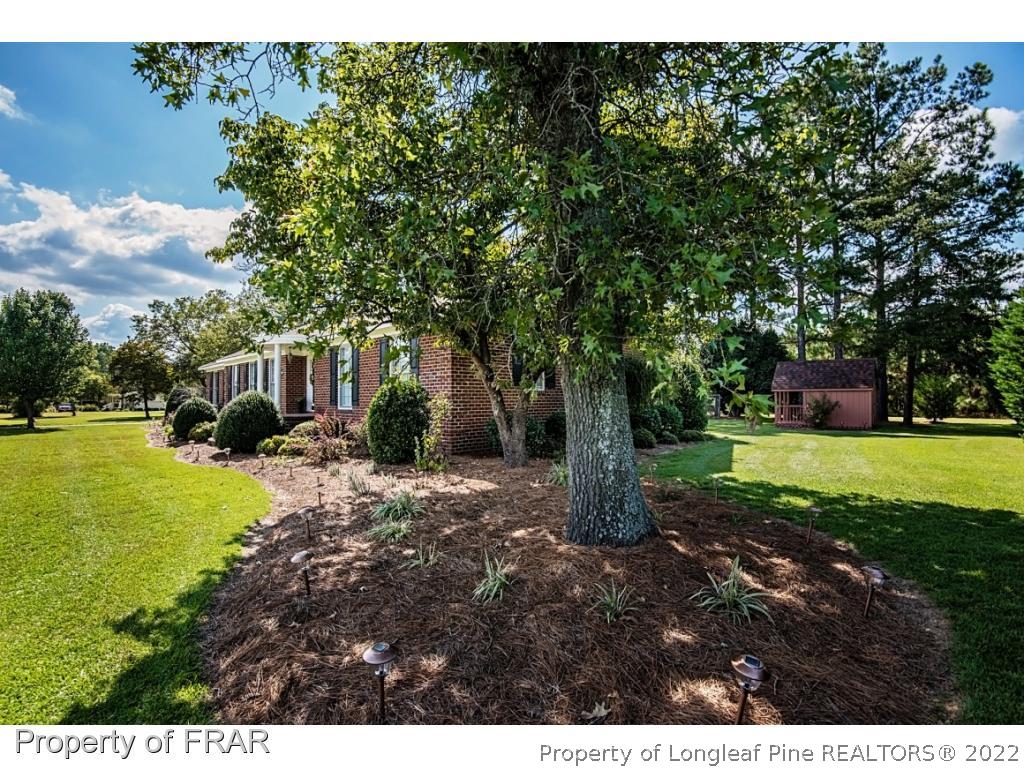 3243 South River School Road Wade, NC 28395 - Photo 29 of 36 Gallery Image 29