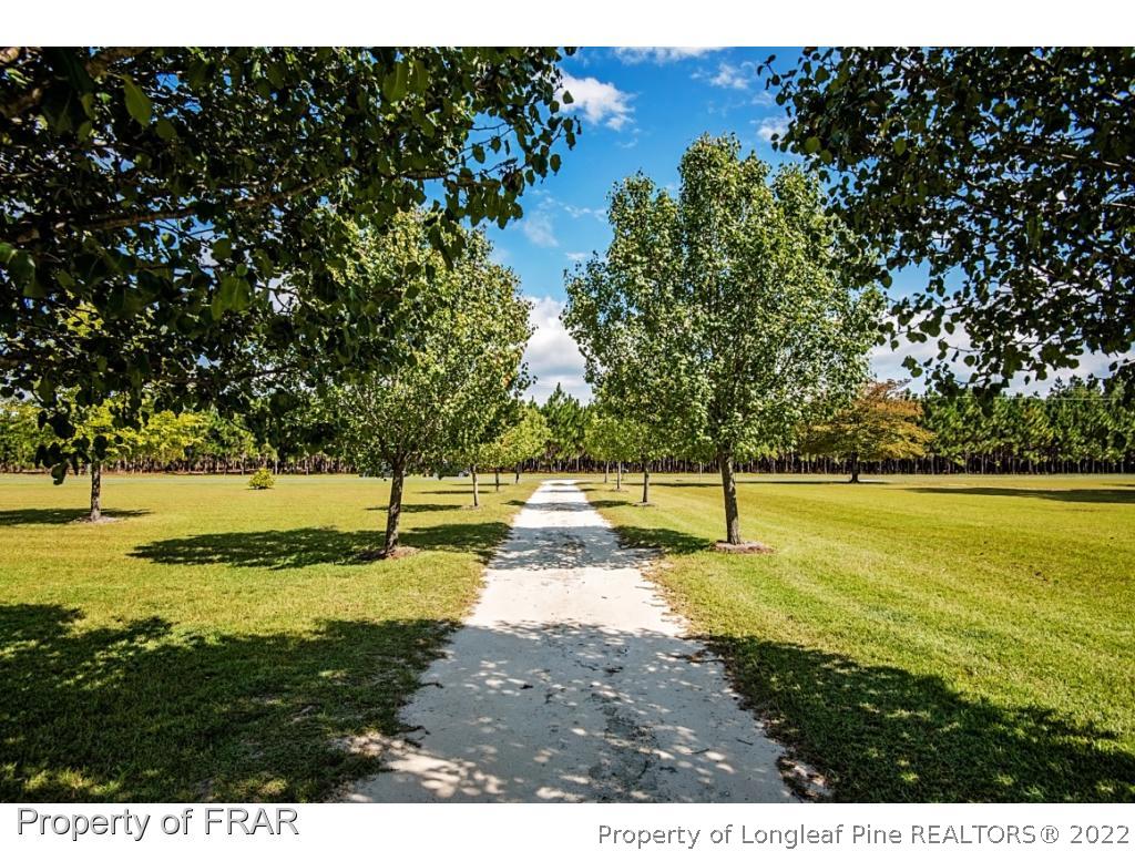 3243 South River School Road Wade, NC 28395 - Photo 34 of 36 Gallery Image 34