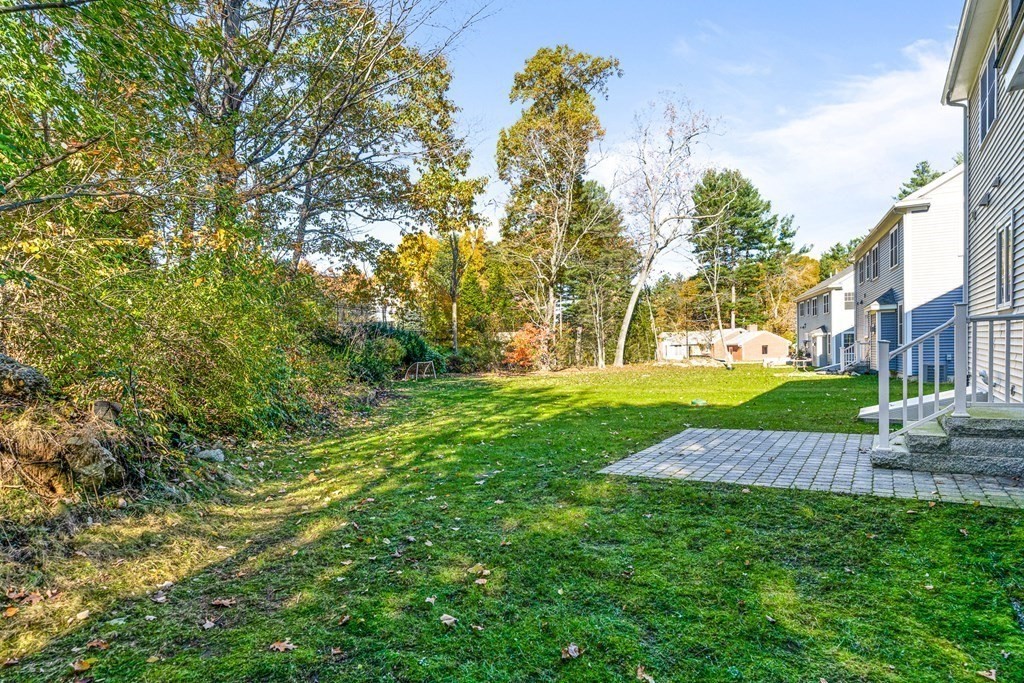 508 South Border Road Winchester, MA 01890 - Photo 34 of 41 a view of a yard with plants and large trees