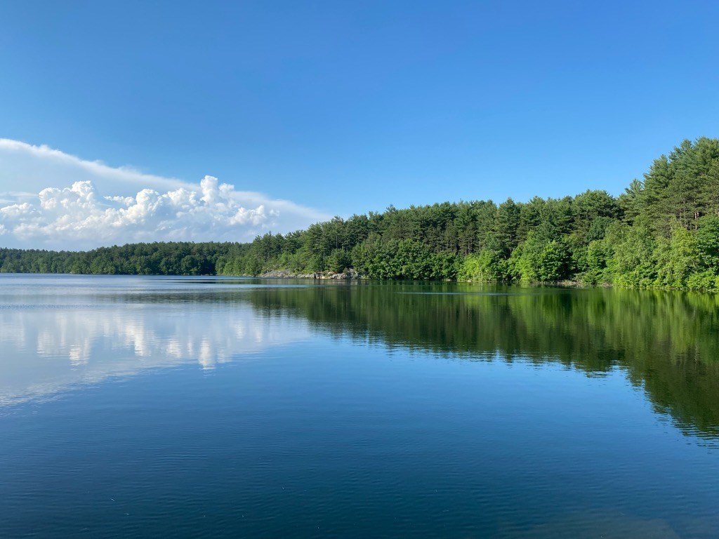 508 South Border Road Winchester, MA 01890 - Photo 39 of 41 a view of a lake in middle of a forest