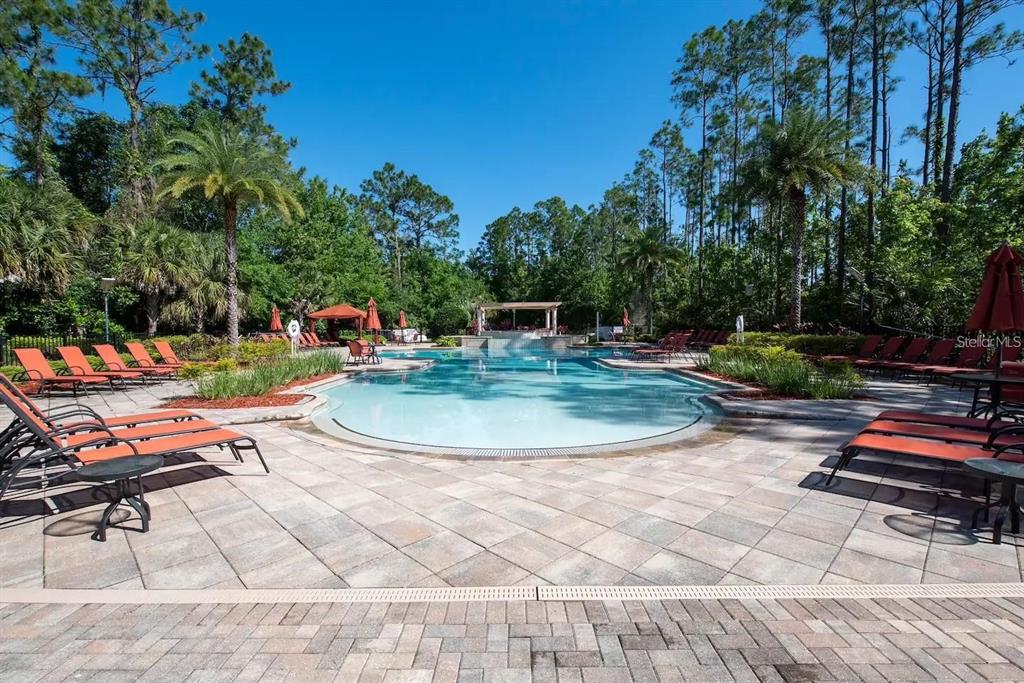 8223 Roseville Road Davenport, FL 33896 - Photo 16 of 17 a view of a swimming pool with a lounge chair and trees in the background