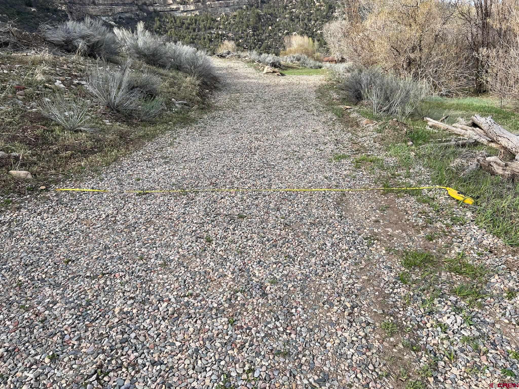 31 Turtle Lake Meadows Drive Durango, CO 81301 - Photo 16 of 27 a view of a dry yard with trees