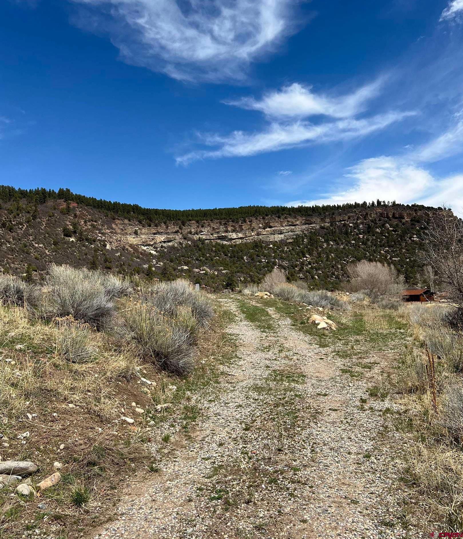 31 Turtle Lake Meadows Drive Durango, CO 81301 - Photo 19 of 27