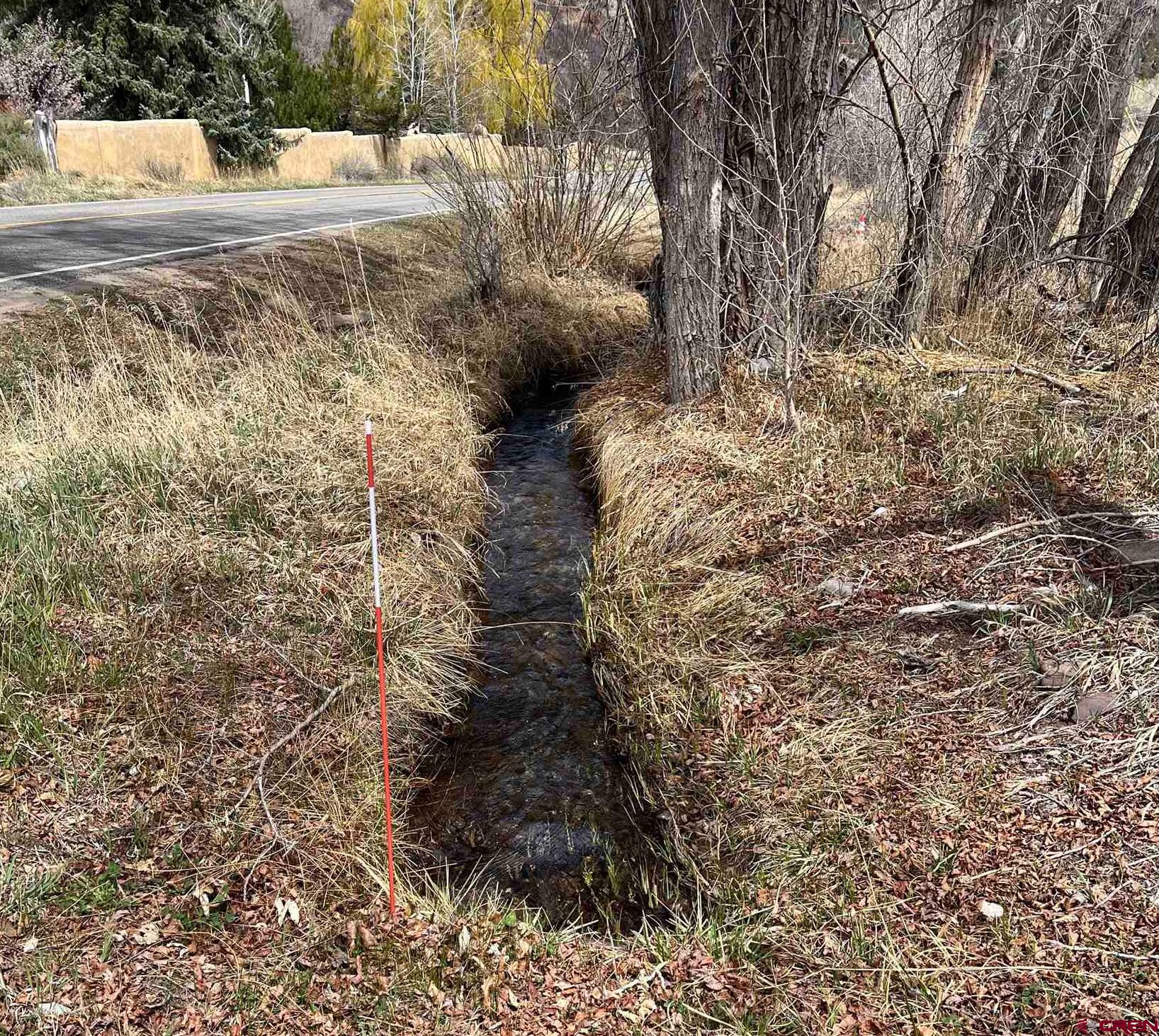 31 Turtle Lake Meadows Drive Durango, CO 81301 - Photo 22 of 27 a view of a yard with large trees