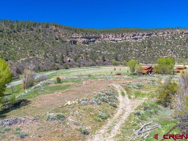 31 Turtle Lake Meadows Drive Durango, CO 81301 - Photo 4 of 27 a view of a yard with an outdoor space