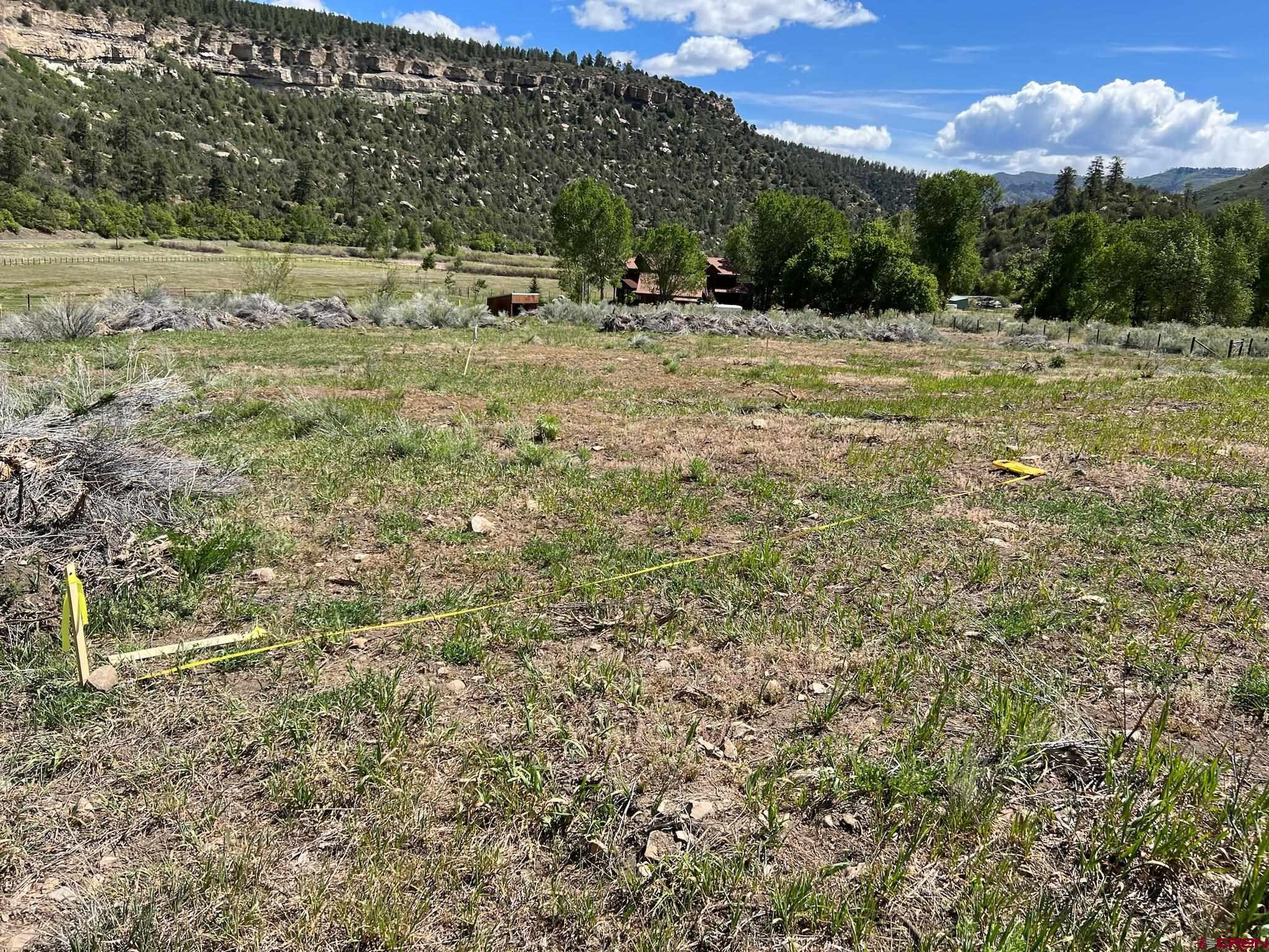31 Turtle Lake Meadows Drive Durango, CO 81301 - Photo 8 of 27 a view of a yard with a tree