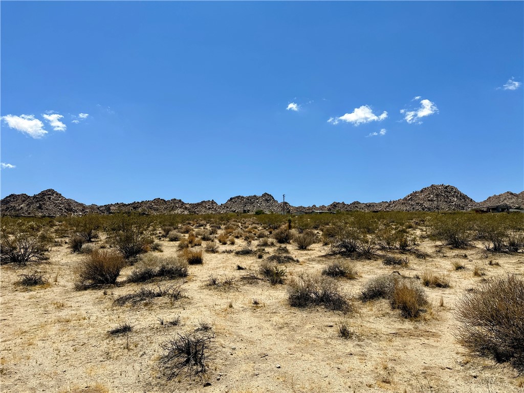 64100 Sullivan Road Joshua Tree, CA 92252 - Photo 1 of 10 a view of a city
