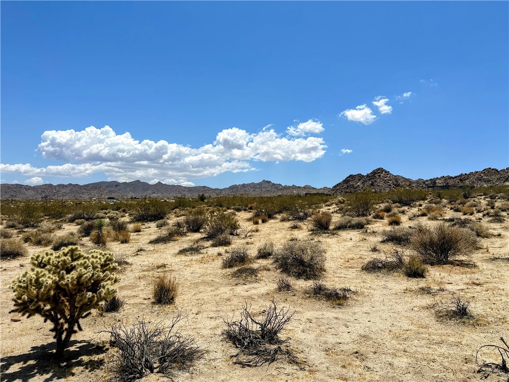 64100 Sullivan Road Joshua Tree, CA 92252 - Photo 2 of 10 a view of a sky