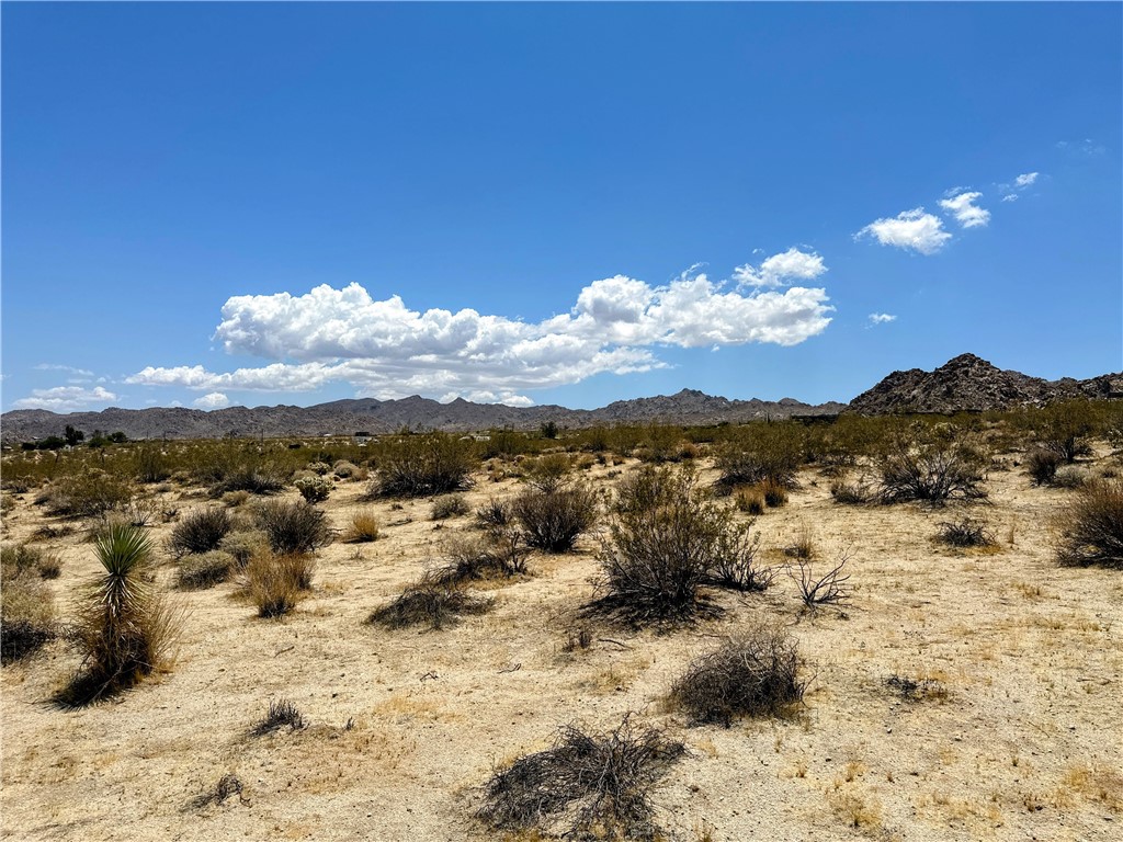64100 Sullivan Road Joshua Tree, CA 92252 - Photo 5 of 10