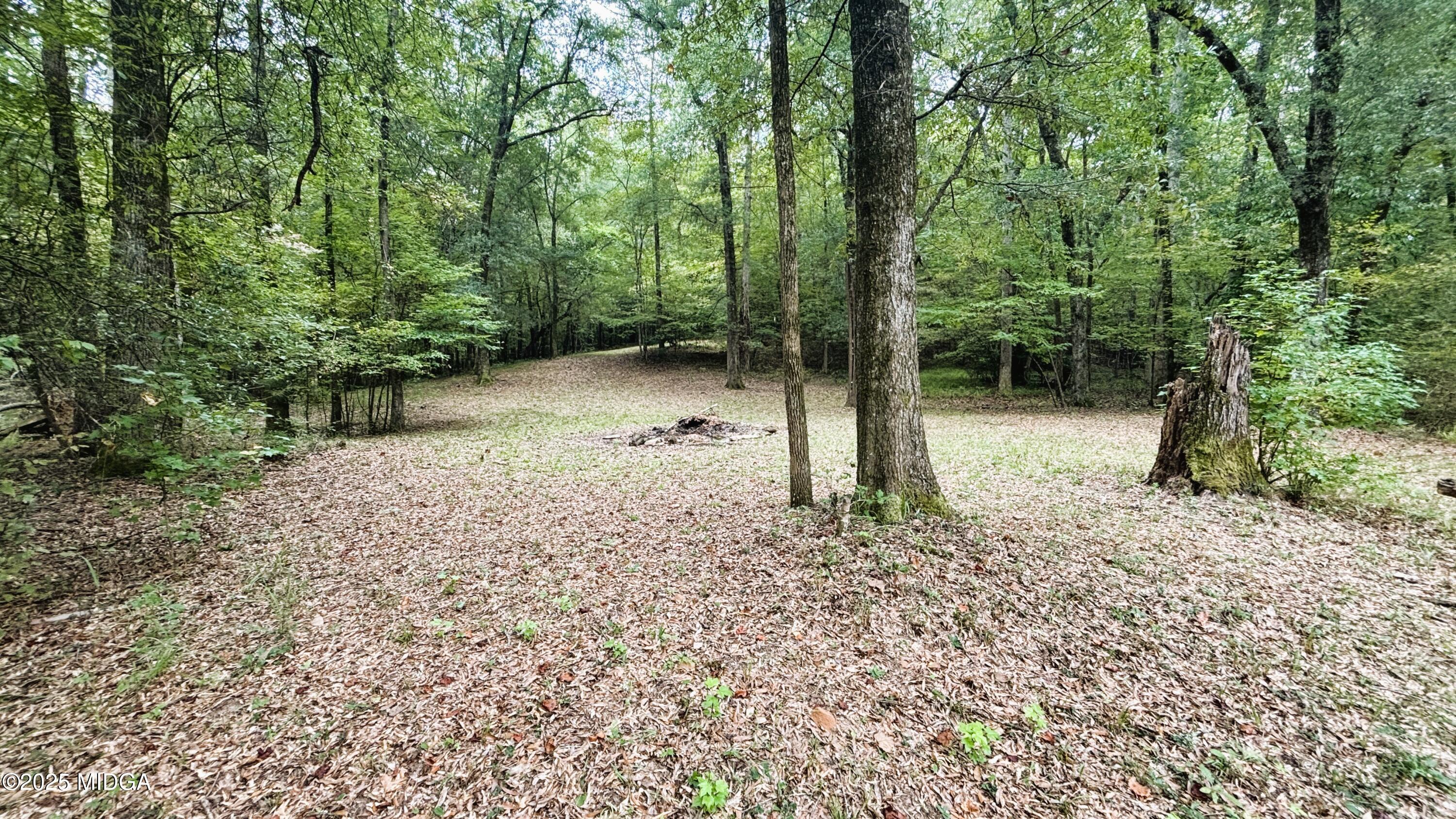 2489 Boxankle Road Forsyth, GA 31029 - Photo 60 of 68 IMG_5246