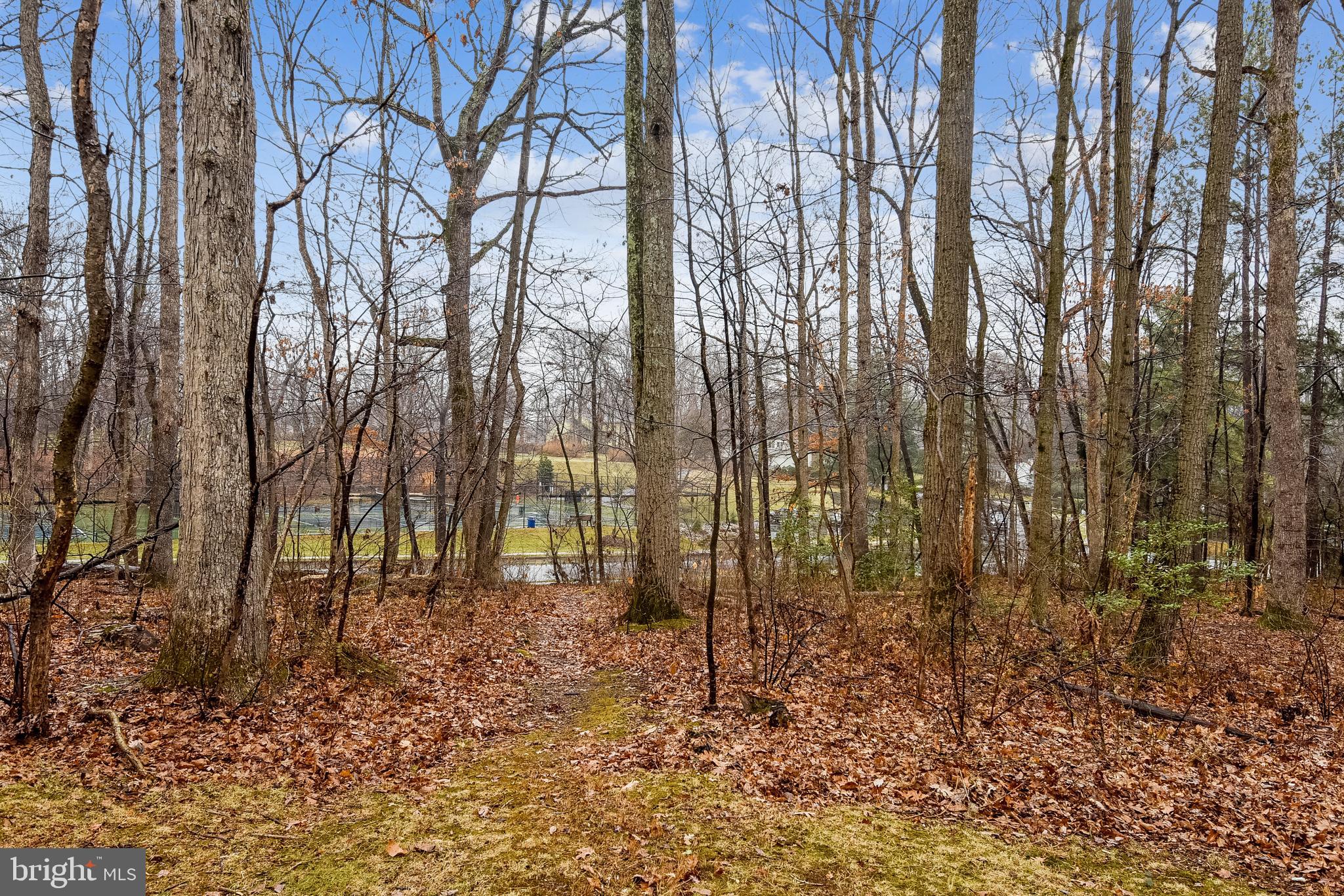 11061 Saffold Way Reston, VA 20190 - Photo 22 of 51 Trail from yard leads to pool and tennis