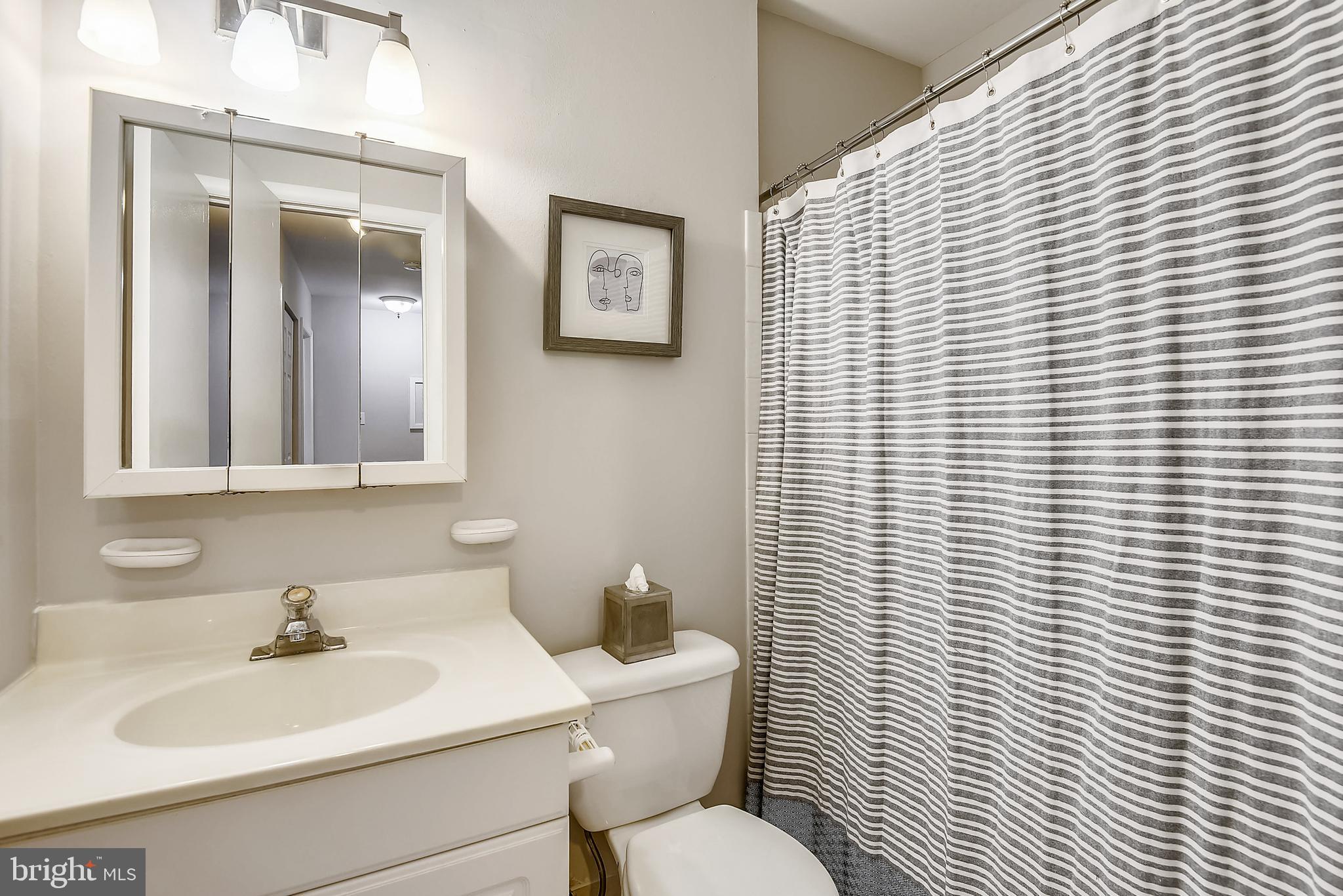 11061 Saffold Way Reston, VA 20190 - Photo 32 of 51 Hall bath