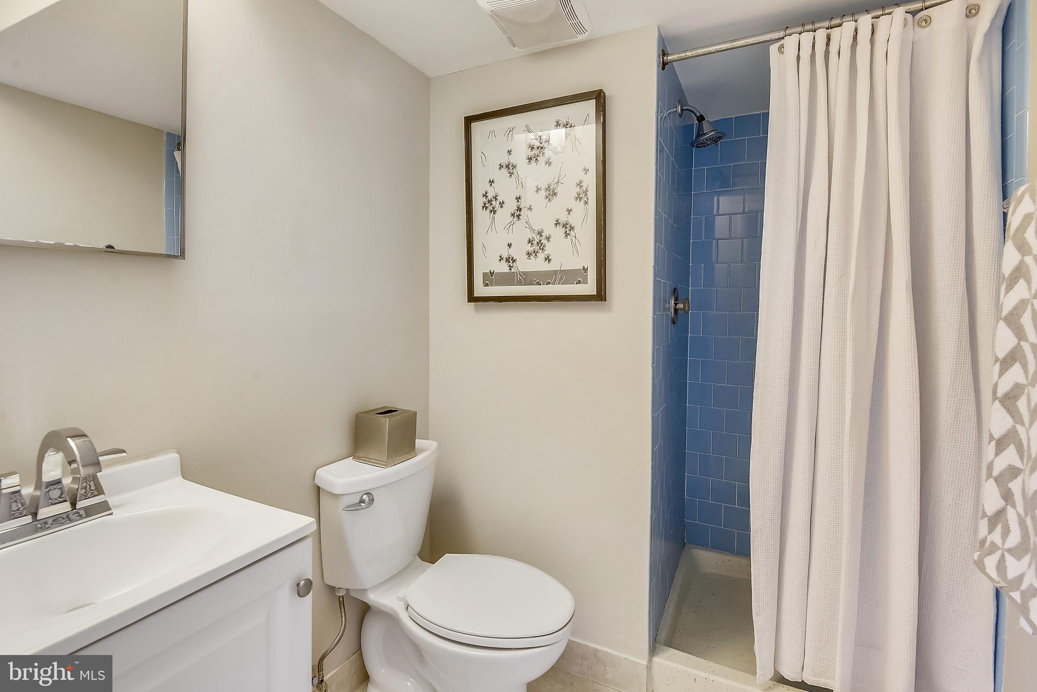 11061 Saffold Way Reston, VA 20190 - Photo 40 of 51 #rd Full Bath - Lower level