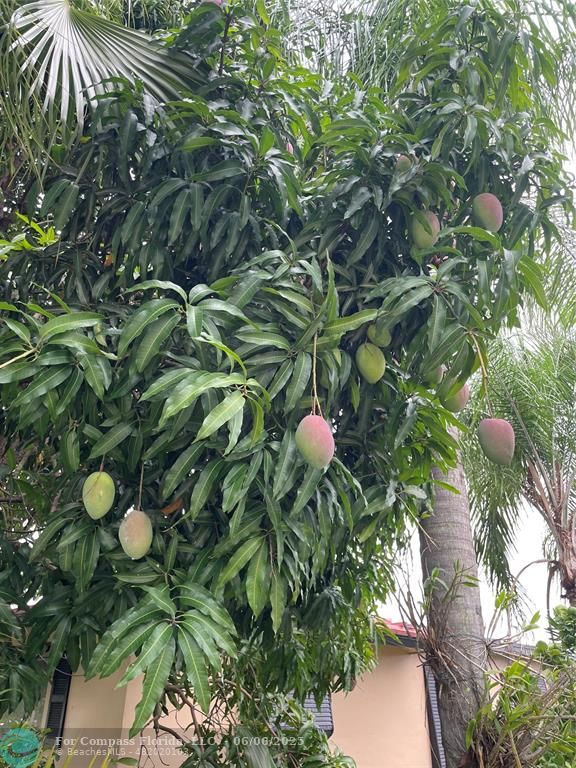 4401 Northwest 43rd Avenue Tamarac, FL 33319 - Photo 15 of 15