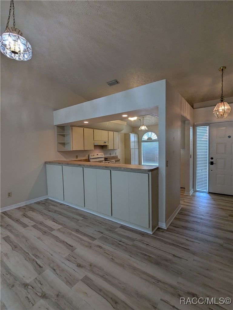 806 Windermere Boulevard Inverness, FL 34453 - Photo 6 of 23