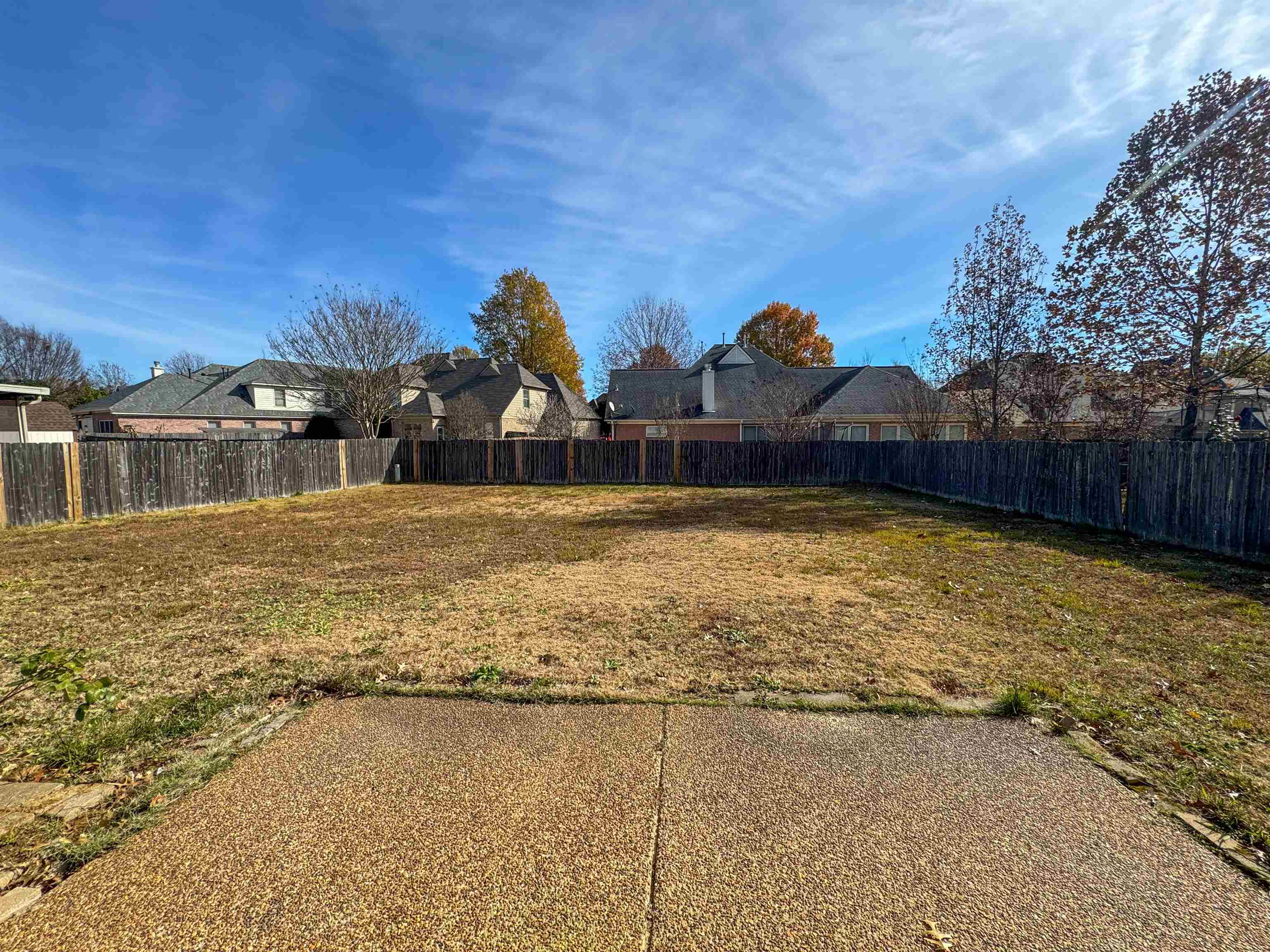 10431 Pilot Rock Road Collierville, TN 38017 - Photo 8 of 15 View of yard