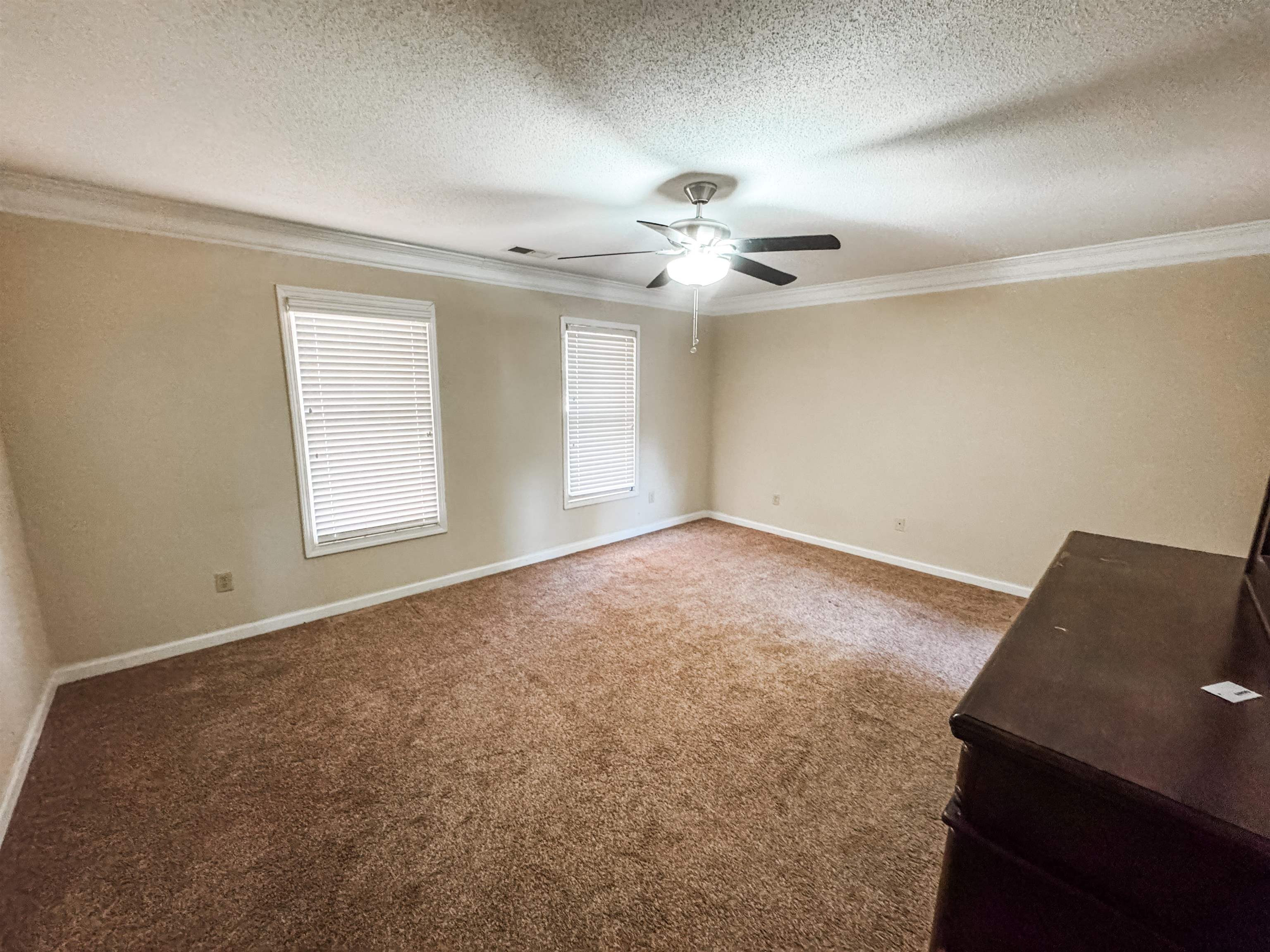 10431 Pilot Rock Road Collierville, TN 38017 - Photo 9 of 15 Carpeted spare room featuring a textured ceiling, ceiling fan, and ornamental molding