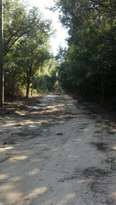 5890 Willard Norris Road Milton, FL 32570 - Photo 10 of 49 Gallery Image 10