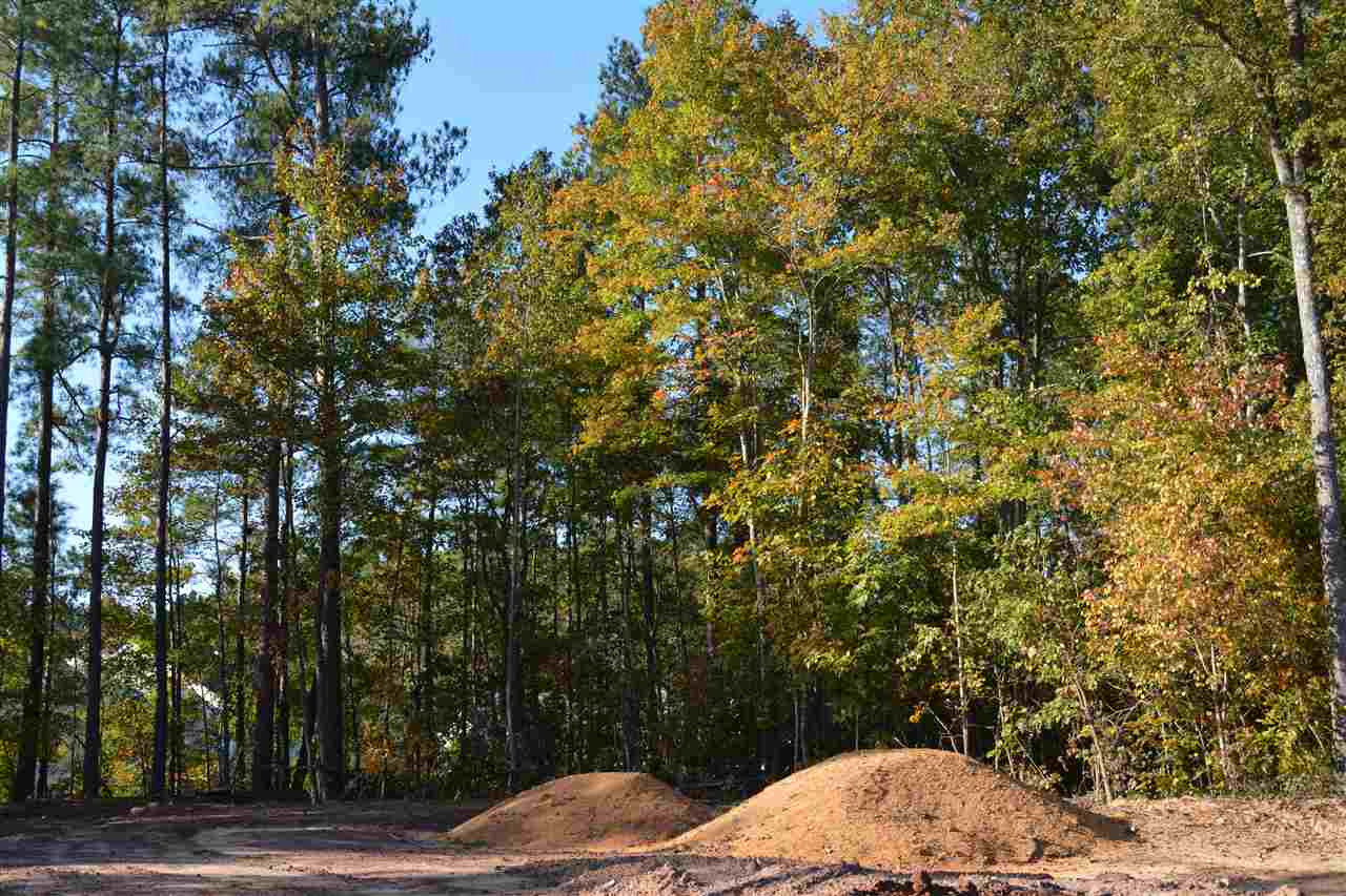 513 Jerome Road Durham, NC 27713 - Photo 10 of 11 Quiet and Private but Close to Everything!