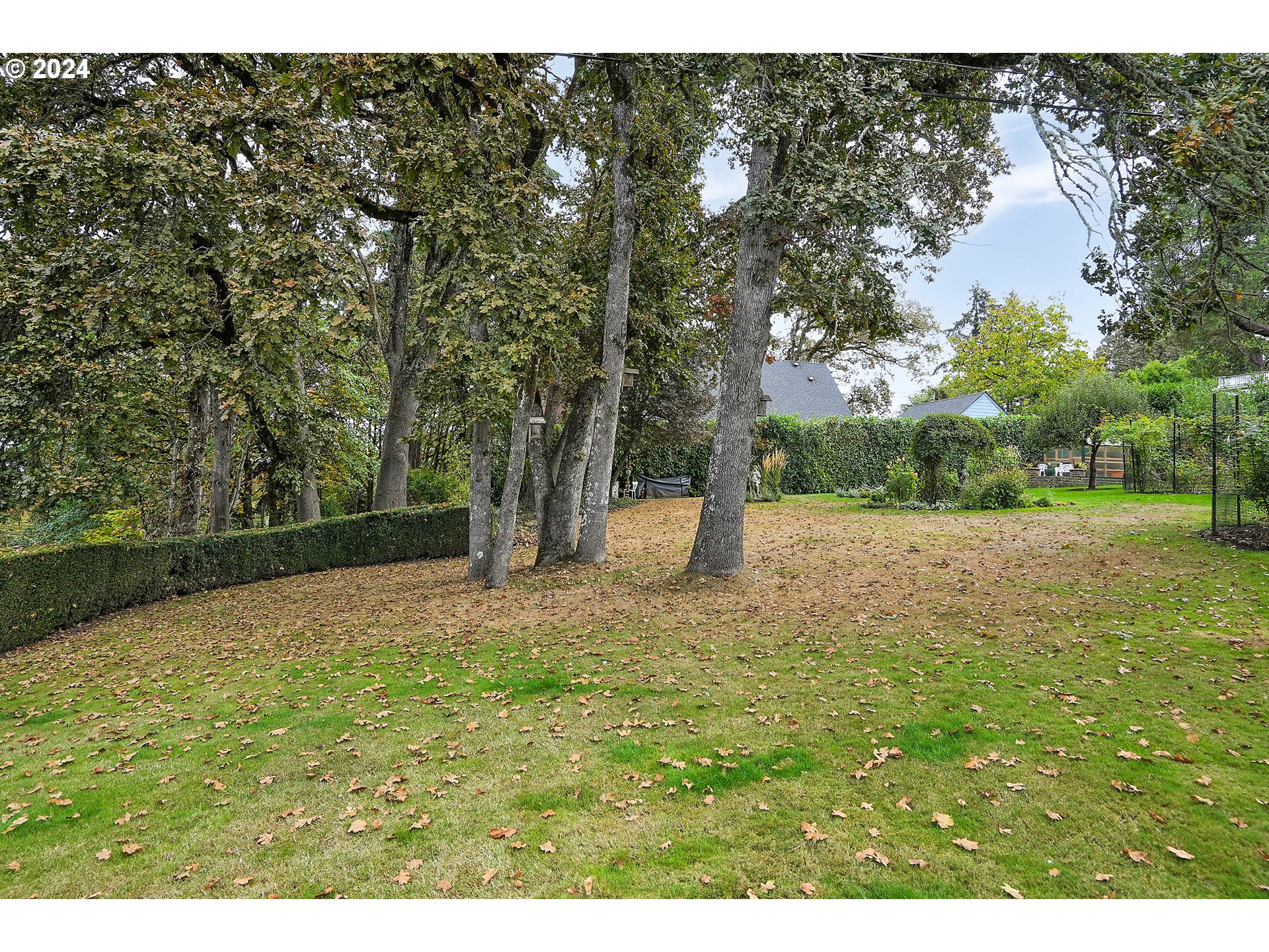 460 Leffelle Street South Salem, OR 97302 - Photo 45 of 48 a view of yard with tree