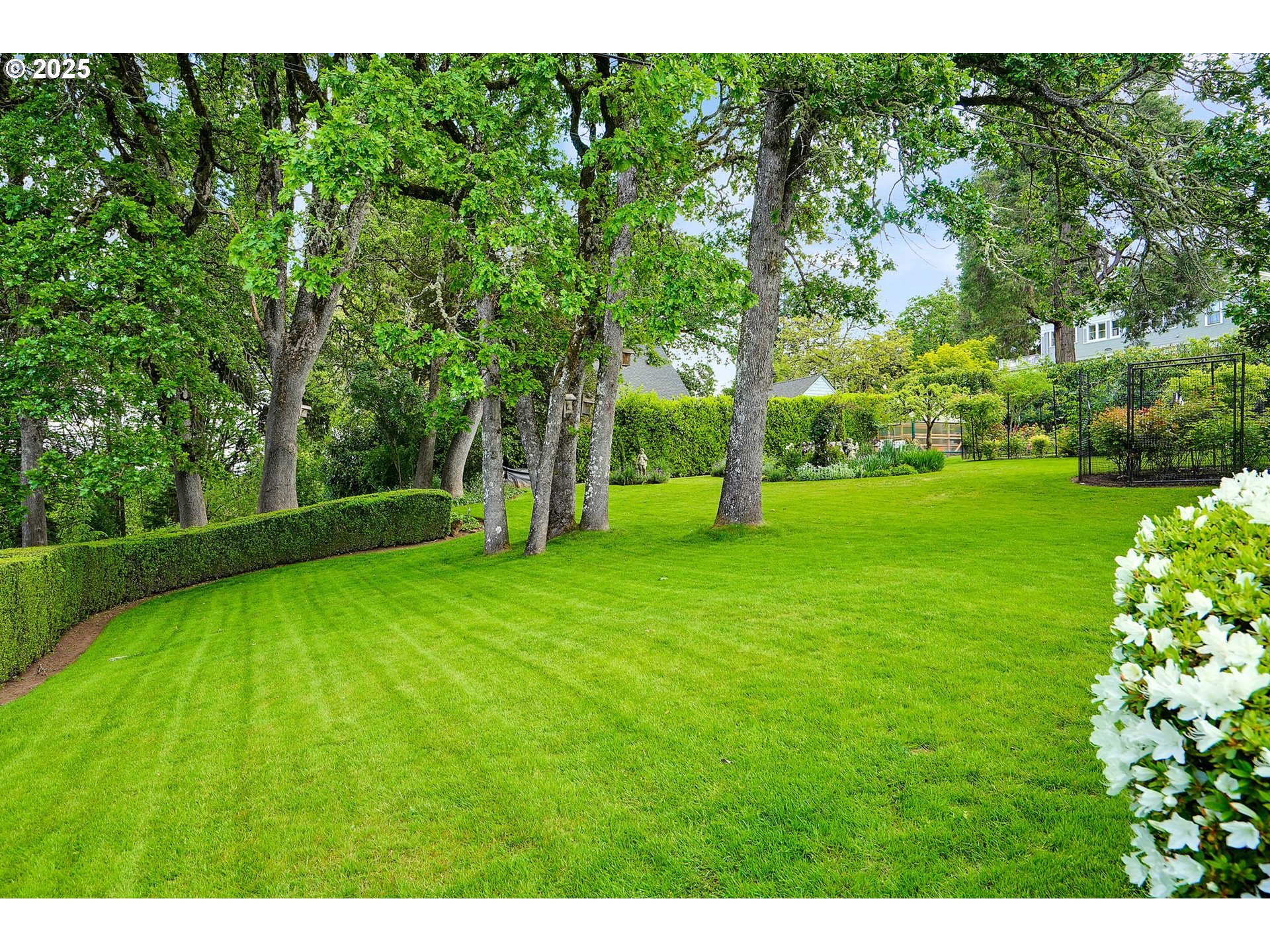 460 Leffelle Street South Salem, OR 97302 - Photo 48 of 48 a view of a tree in a park
