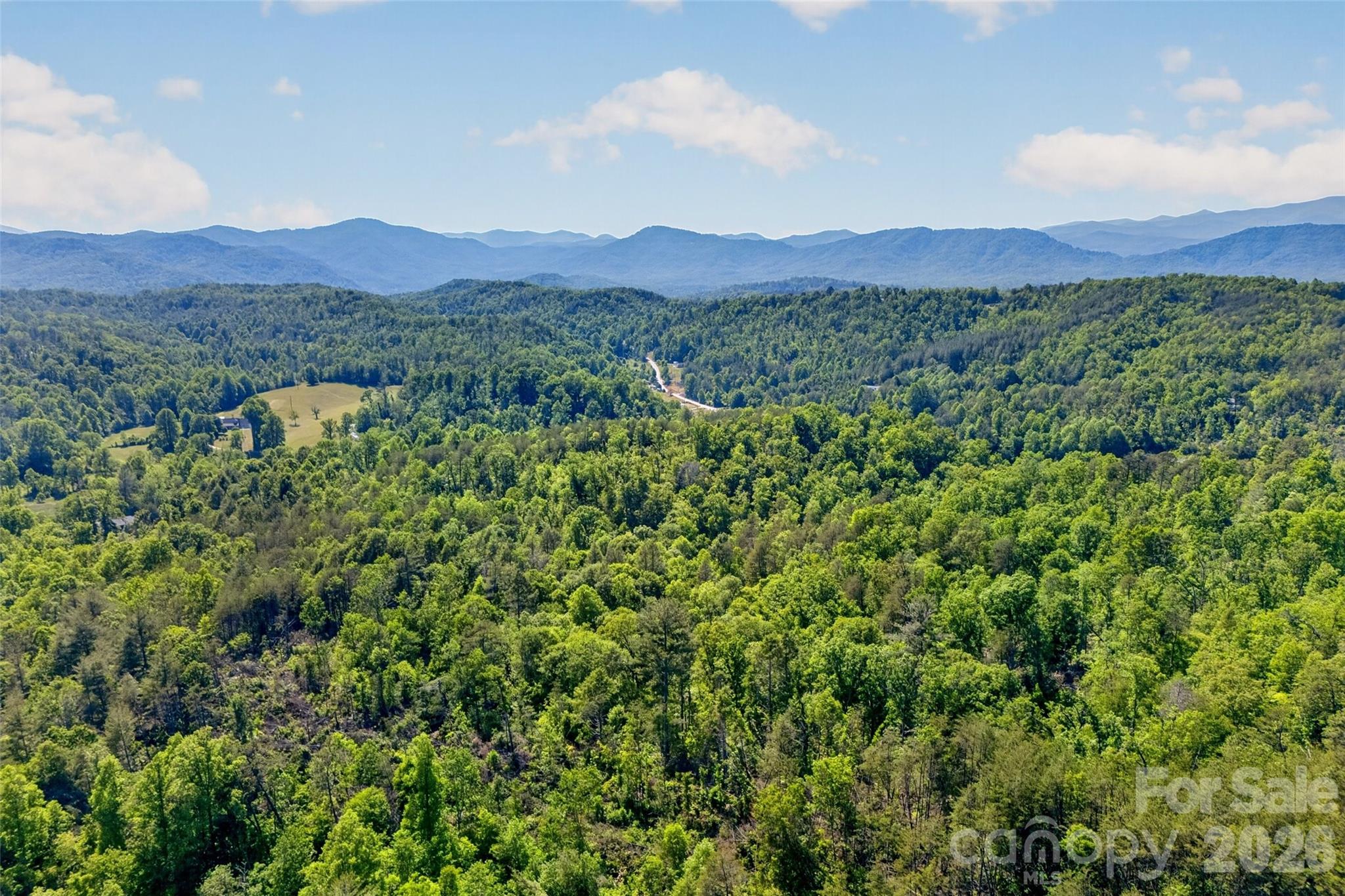 3361 Bethlehem Road Old Fort, NC 28762 - Photo 12 of 47