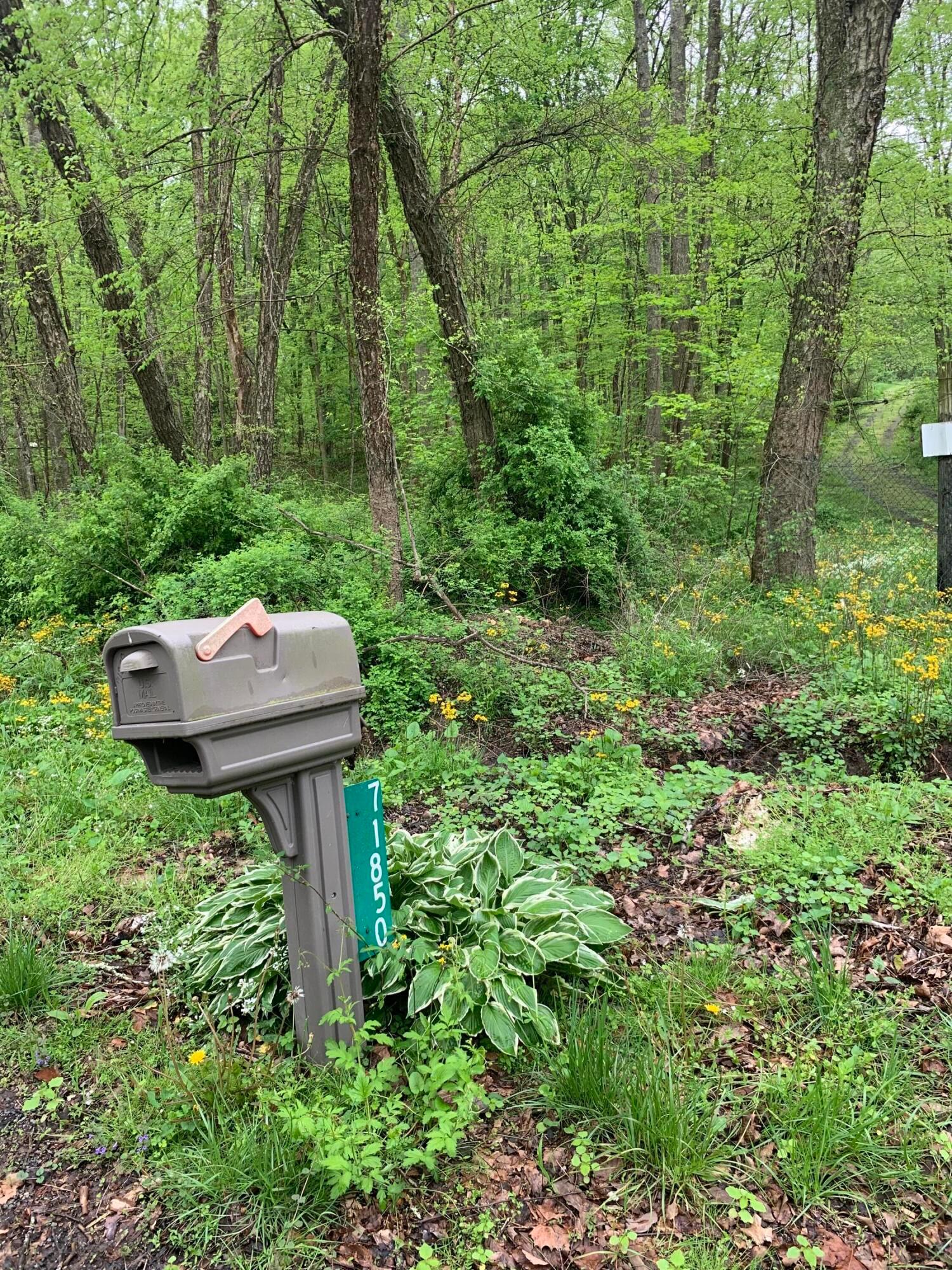 71850 Grey Road Vinton, OH 45686 - Photo 2 of 19 Mail Box
